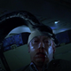 Snake eats man